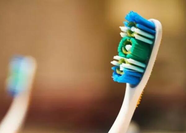 牙刷朝下放杯里为何会滋生黑色细菌？解密牙刷卫生的正确方式
