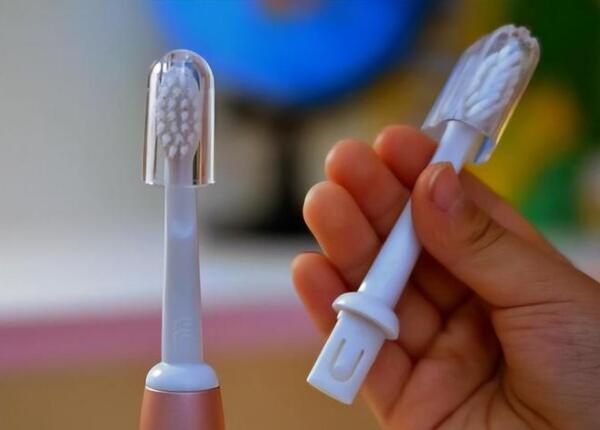 电动牙刷刷头定期更换
